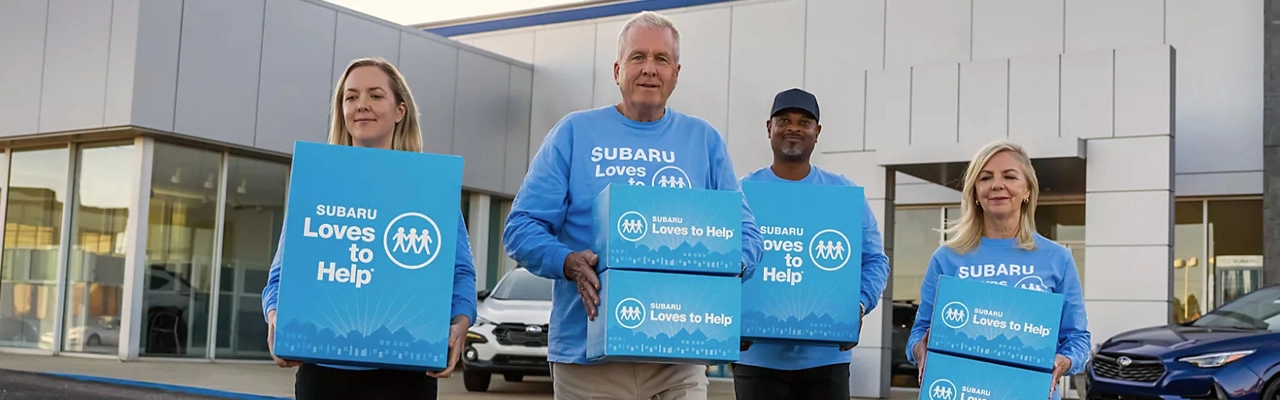 Subaru-Inner-Image-Banner
